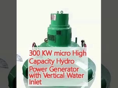 300 kW micro-hydro-energiegenerator met verticale waterinlaat