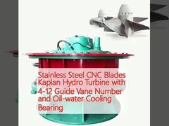 Kaplan-hydroturbine met 4-12 geleidingsbanden en olie-water koellagers
