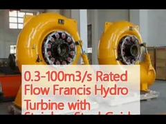 0.3-100 m3/s Nominale stroom Francis Hydroturbine met roestvrijstalen geleidingsbak en inlaatstroom van 2 M3/s
