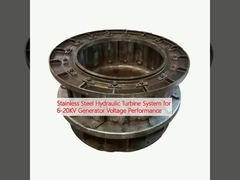 Hydraulisch turbinesysteem van roestvrij staal voor 6-20KV generatorspanningsprestaties