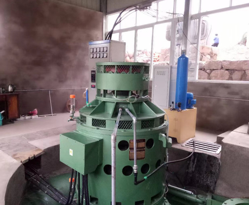de Turbine Micro- van 400V 400kw verticaal Kaplan Hydroroestvrij staal