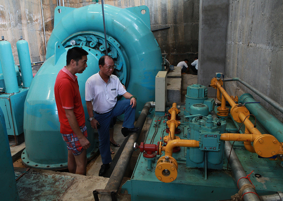 Verticaal borstelloos waterkrachtsysteem met borstelloze generator