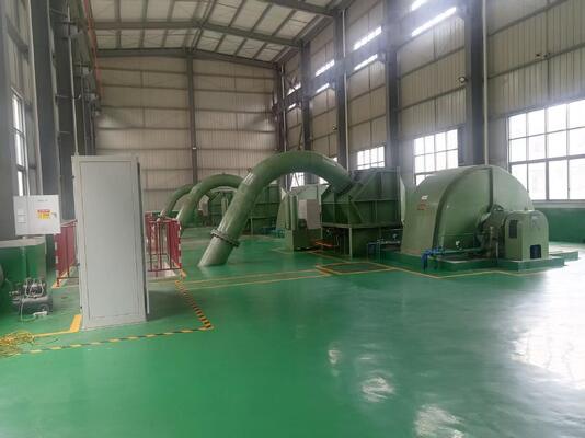 Multi-scenario aangepaste hydroturbinegenerator met borstelloze opwinding en koperkernkabels