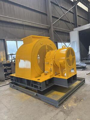 Borstelloze Opwekking Aangepaste Waterkrachtapparatuur met Koperen Kernkabels voor Francis Waterkracht Turbogenerator