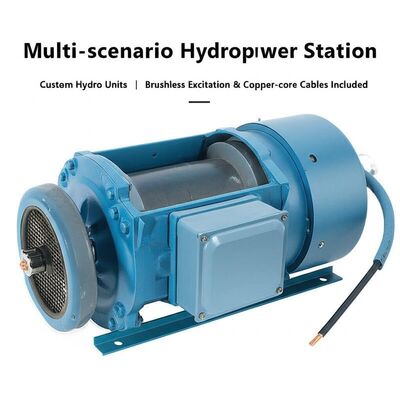 Multi-scenario aangepaste hydro-eenheden Francis-hydroturbine met borstelloze excitatie & koperen kernkabels