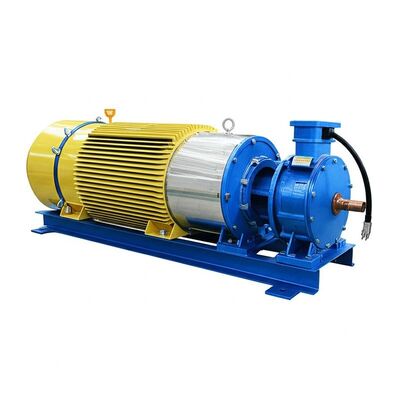 Multi-scenario aangepaste hydroturbinegenerator met borstelloze opwinding en koperkernkabels