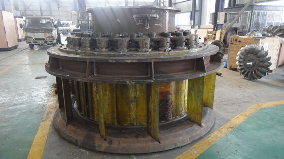 Kaplan-waterturbine met verstelbare geleidingsbakken roestvrijstalen lem en 6300V generatorspanning voor efficiënte waterkracht