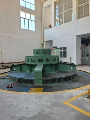 Op maat gemaakte verticale Francis-turbine voor toepassingen met een gemiddelde tot hoge kop met ongeëvenaarde betrouwbaarheid