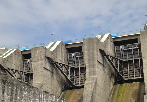 32m de Turbine Laag Hoofdroestvrij staal 5000kw van Water Hoofd Horizontaal Kaplan