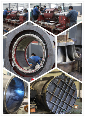 Roestvrij staal 180m Hoofd Hydroturbine 550kw 0.4m3/S van Pelton