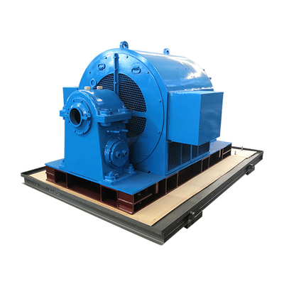 De horizontale Middelgrote Grote Hydroturbogeneratoren 600kw snakken Levensduur