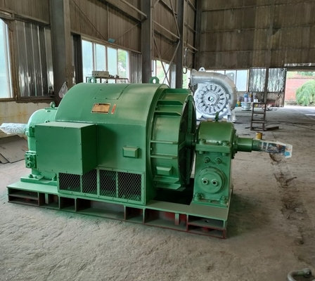 De horizontale Middelgrote Grote Hydroturbogeneratoren 600kw snakken Levensduur