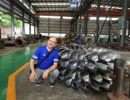 Kleine van de het Wielagent 800KW van Pelton van de Stroomturbine Verticale Horizontaal
