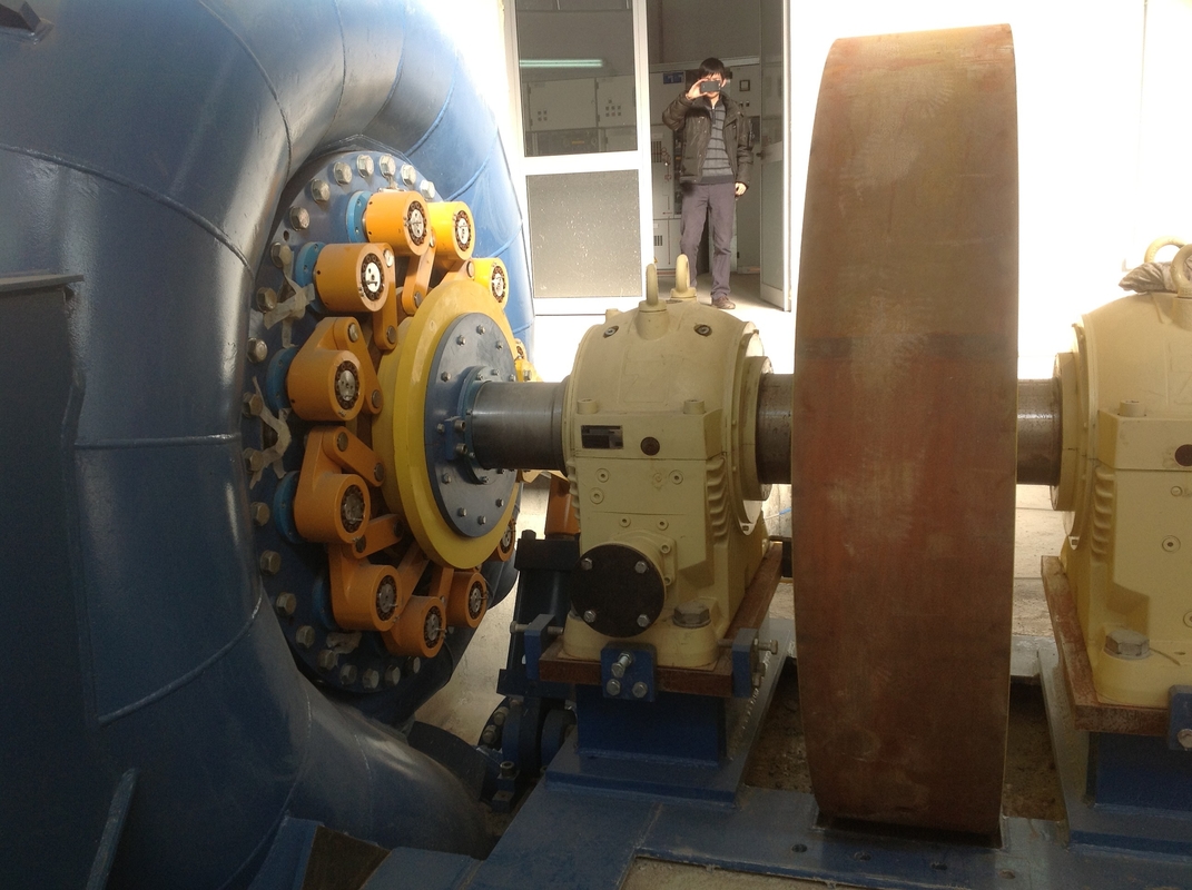 Francis waterturbine met 50 Hz frequentie en nominale doorstroming van 0,3-100 m3/s