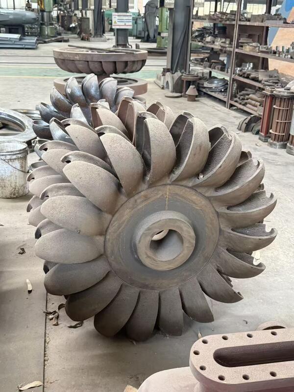 Multi-scenario aangepaste hydroturbinegenerator met borstelloze opwinding en koperkernkabels