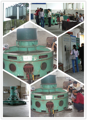 50m Lage Hoofdkaplan Turbine Micro- Hydro Hoge Stroom voor Mini Hydro Station