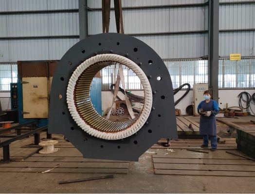 3000kw het Gesmede Staal 6300V van de turbine Hydro-elektrische Macht Generator